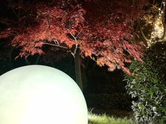 -1点点(龙湖金楠天街店)