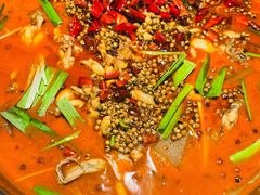 -宽口美蛙鱼头(大唐西市店)