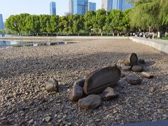 -天鹅湖体育公园