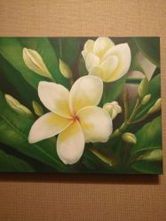 -蕾蕾美颜美容美体