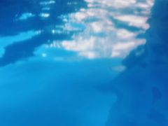 -嘉佑温泉水世界