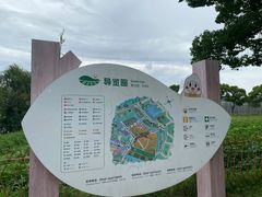 -苏州太湖西山岛开心农场