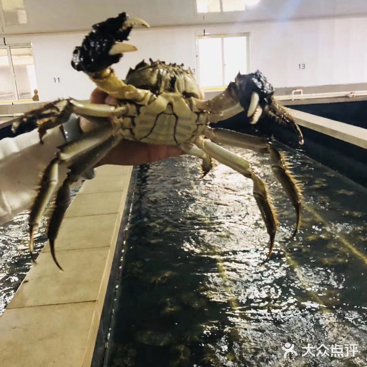 六七两的黄浦江大闸蟹可好吃😋呢！