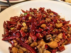 -新渝城·川菜·火锅(区庄店)