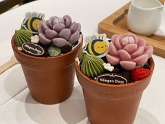 -哈根达斯(龙湖时代天街店)