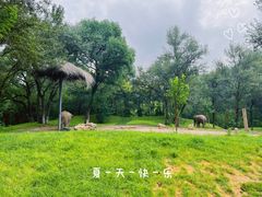 -北京野生动物园