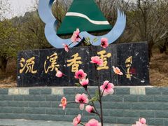 -广州市流溪河国家森林公园
