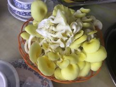 黄金菇-仙蘑洞