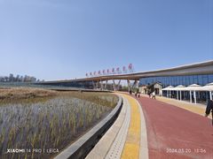-西安浐灞国家湿地公园