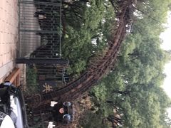 -共青国家森林公园-售票处