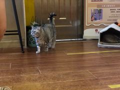 -H立方实景剧情密室(天河旗舰店)