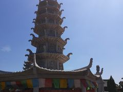 -大槐树寻根祭祖园