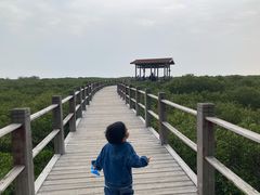 -北海金海湾红树林生态旅游区