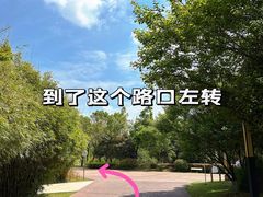 -盘龙城国家考古遗址公园