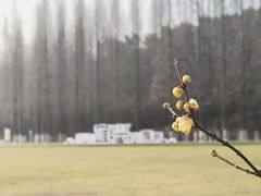 -宜兴龙背山森林公园