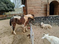 -HERRE·FARM 赫尔露营农场·团建聚会包场