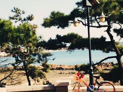 -长颈鹿咖啡(大学路店)