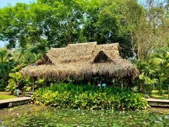 -中国科学院西双版纳热带植物园