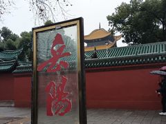 -陈大锅·岳阳鱼馆·地道岳阳菜(美食街店)