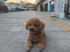 -农汤老店(顺联公园里店)