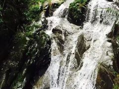 -藏龙百瀑风景区