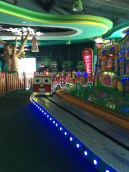 -维佳童话镇演出现场(徐东店)