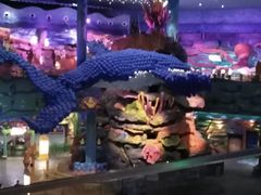 -青岛嘉年华主题乐园