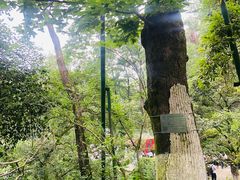 -岳麓山风景名胜区