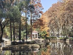 -安徽大学(龙河校区)