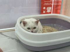 -银泰百货(海宁店)