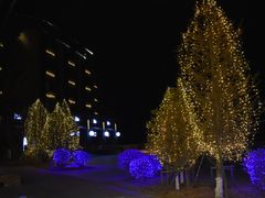 -中旅松花湖滑雪场