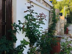 -静之湖湖畔餐厅