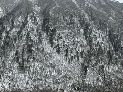 -黄龙山原始森林景区