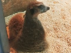 -常州海昌海洋探索馆