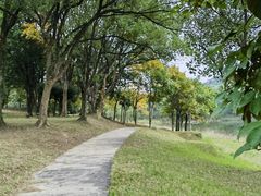 -福建鲤鱼洲酒店