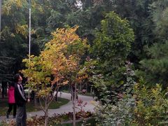 -大兴滨河森林公园