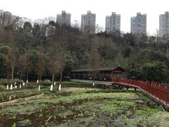 -重庆彩云湖湿地公园