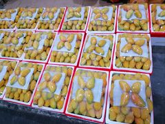-双福水果批发市场
