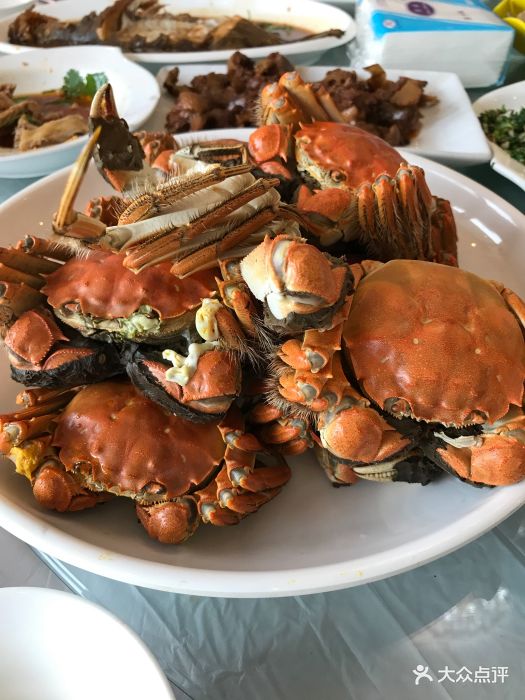 长荡湖水街图片