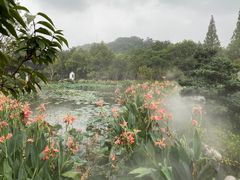 -亭林园-华藏寺