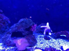 -成都浩海立方海洋公园