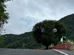 -广州市石门国家森林公园