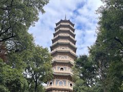 -灵谷景区