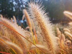 -济南国际园博园