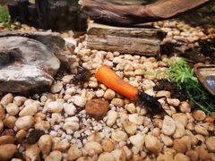 -上海昆虫博物馆