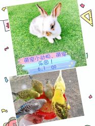 -萌宠亲子动物乐园(槐房万达店)