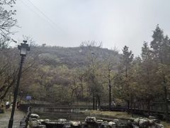 -白水寺森林公园