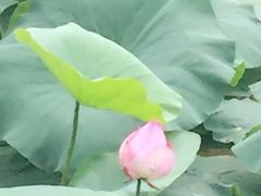 -上海市龙华烈士陵园