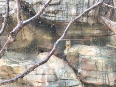 -泉州海丝野生动物世界