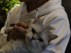 -她说户外烧烤团建(西湖店)